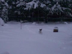 zima 2010 040
